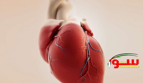 5 Ø£Ø¹Ø±Ø§Ø¶.. ÙƒÙÙŠÙ„Ø© Ø¨Ø¥Ù†Ù‚Ø§Ø°Ùƒ Ù…Ù† 