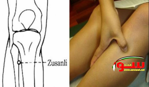 Ù‡Ø°Ù‡ Ø§Ù„Ù†Ù‚Ø·Ø© Ø¨Ø§Ù„Ø¬Ø³Ù… ØªØ¹ØªØ¨Ø± Ø²Ø± Â«RestartÂ» Ø§Ù„Ø®Ø§Øµ Ø¨Ø§Ù„Ø¨Ø´Ø±! | Ù…ÙˆÙ‚Ø¹ Ø³ÙˆØ§ 