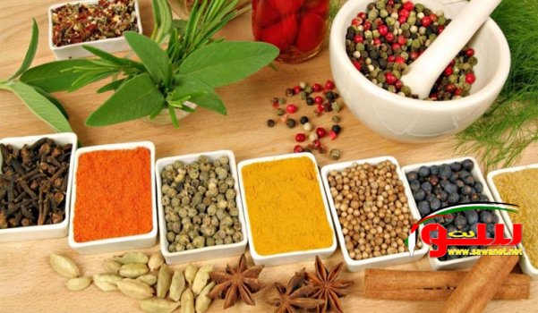 Ø§Ø¹Ø´Ø§Ø¨ ØªÙ‚ÙˆÙŠ Ø°Ø§ÙƒØ±ØªÙƒ | Ù…ÙˆÙ‚Ø¹ Ø³ÙˆØ§ 