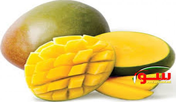 Ø§ÙƒØªØ´ÙÙˆ Ù…Ø¹Ù†Ø§ Ù…Ø§ Ù‡ÙŠ ÙÙˆØ§Ø¦Ø¯ ÙØ§ÙƒÙ‡Ø© Ø§Ù„Ù…Ø§Ù†Ø¬Ùˆ..! | Ù…ÙˆÙ‚Ø¹ Ø³ÙˆØ§ 