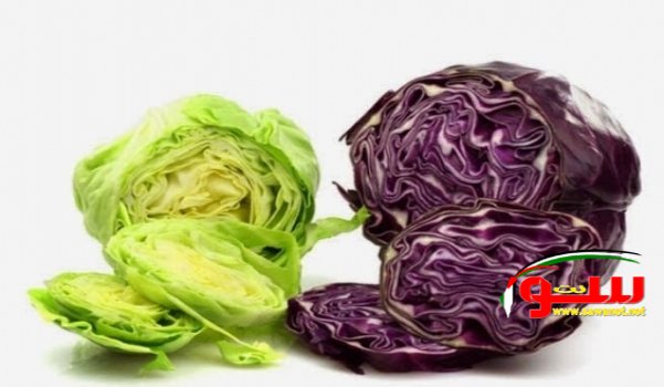 ØªØ¹Ø±ÙÙˆØ§ Ø¹Ù„Ù‰ ÙÙˆØ§Ø¦Ø¯ Ø§Ù„ØµØ­ÙŠØ© Ø§Ù„Ù…Ø°Ù‡Ù„Ø© Ù„Ù„Ù…Ù„ÙÙˆÙ | Ù…ÙˆÙ‚Ø¹ Ø³ÙˆØ§ 