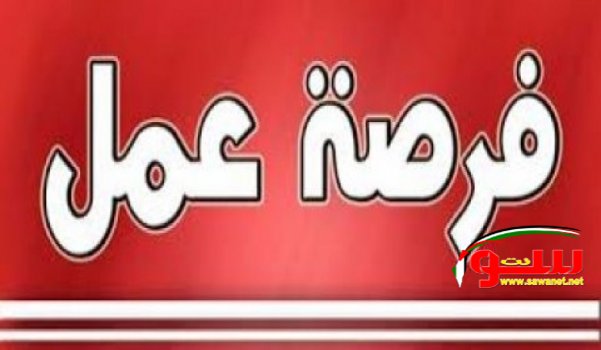 Ù…Ø·Ù„ÙˆØ¨ Ù…ÙˆØ¸ÙØ§Øª Ù„Ù„Ø¹Ù…Ù„ ÙÙŠ Ø´Ø±ÙƒÙ‡ ÙÙŠ Ø­ÙŠÙØ§ Ù„Ù„Ø¹Ù…Ù„ ÙÙŠ Ù…Ø¬Ø§Ù„Ø§Øª Ù…Ø®ØªÙ„ÙÙ‡  | Ù…ÙˆÙ‚Ø¹ Ø³ÙˆØ§ 