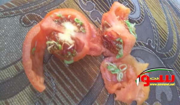  Ø¹Ø§Ø¬Ù„ ØªØ­Ø°ÙŠØ± Ù‡Ø§Ù… Ù…Ù† Ø§Ù„Ø¨Ù†Ø¯ÙˆØ±Ù‡ ÙÙŠ ÙÙ„Ø³Ø·ÙŠÙ† Ùˆ Ø§Ù„Ø¯Ø§Ø®Ù„  | Ù…ÙˆÙ‚Ø¹ Ø³ÙˆØ§ 