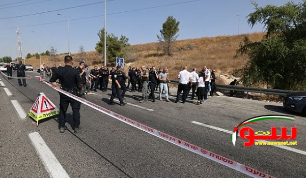 Ù‚ØªÙŠÙ„ ÙˆØ¹Ø¯Ø¯ Ù…Ù† Ø§Ù„Ø§ØµØ§Ø¨Ø§Øª ÙÙŠ Ø¹Ù…Ù„ÙŠÙ‡ Ø§Ù„Ø¯Ù‡Ø³ | Ù…ÙˆÙ‚Ø¹ Ø³ÙˆØ§ 