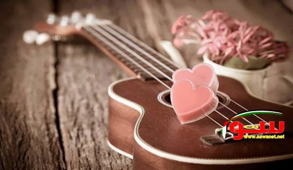 Ù…Ù† Ø§Ù„Ø¸Ù„Ù… Ø£Ù† ØªÙ‚ÙŠØ³ Ø­Ø¸Ùƒ Ø¨Ø¹Ø¯Ø¯ Ø§Ù„Ø§Ø´ÙŠØ§Ø¡ Ø§Ù„ØªÙŠ Ù„Ù… ØªØ­ØµÙ„ Ø¹Ù„ÙŠÙ‡Ø§ Ø¯ÙˆÙ† Ø§Ù„Ù†Ø¸Ø± | Ù…ÙˆÙ‚Ø¹ Ø³ÙˆØ§ 