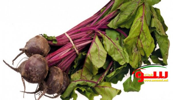 Ø§Ù„Ø´Ù…Ù†Ø¯Ø± ÙŠØ¹Ø²Ø² Ø§Ù„Ø·Ø§Ù‚Ø© ÙˆÙŠØ²ÙŠÙ„ Ø§Ù„Ø³Ù€Ù€Ù…ÙˆÙ… | Ù…ÙˆÙ‚Ø¹ Ø³ÙˆØ§ 