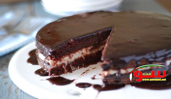 Ø¨Ø§ÙˆÙ†ØªÙŠ ÙƒÙŠÙƒ  | Ù…ÙˆÙ‚Ø¹ Ø³ÙˆØ§ 