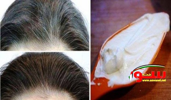  Ø·Ø±ÙŠÙ‚Ø© Ù„Ù„ØªØ®Ù„Øµ Ù…Ù† Ø§Ù„Ø´Ø¹Ø± Ø§Ù„Ø£Ø¨ÙŠØ¶ | Ù…ÙˆÙ‚Ø¹ Ø³ÙˆØ§ 