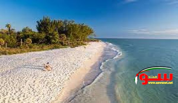 Ø§ØºØ±Ø¨ Ø§Ù„Ø´ÙˆØ§Ø·Ø¦ ÙÙŠ Ø§Ù„Ø¹Ø§Ù„Ù…  | Ù…ÙˆÙ‚Ø¹ Ø³ÙˆØ§ 