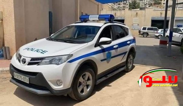 Ø¸Ø§Ù‡Ø±Ù‡ Ø§Ù„ÙƒÙ„Ø§Ø¨ Ø§Ù„Ø¶Ø§Ù„Ù‡ ÙÙŠ Ø´ÙˆØ§Ø±Ø¹ Ù†Ø§Ø¨Ù„Ø³ Ùˆ Ø§Ø³ØªÙ‡ØªØ§Ø± Ø§Ù„Ø´Ø±Ø·Ù‡ Ùˆ Ø§Ù„Ø¯ÙØ§Ø¹ Ø§Ù„Ù…Ø¯Ù†ÙŠ | Ù…ÙˆÙ‚Ø¹ Ø³ÙˆØ§ 