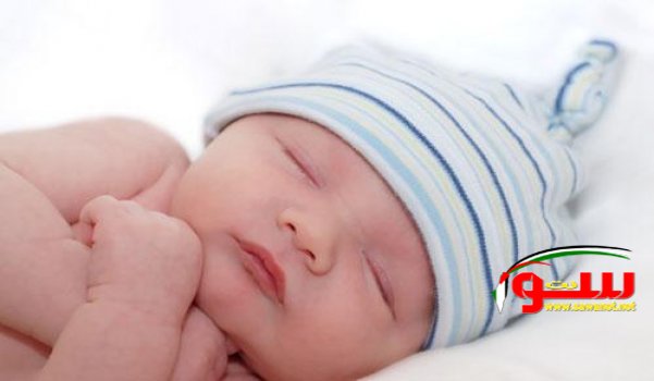 Ø§Ø¬ØªÙ…Ø§Ø¹ Ø·Ø§Ø±Ø¦ Ù„Ù…Ù†Ø¸Ù…Ø© Ø§Ù„ØµØ­Ø© Ø§Ù„Ø¹Ø§Ù„Ù…ÙŠØ© Ø­ÙˆÙ„ ÙÙŠØ±ÙˆØ³ Ø²ÙŠÙƒØ§ | Ù…ÙˆÙ‚Ø¹ Ø³ÙˆØ§ 