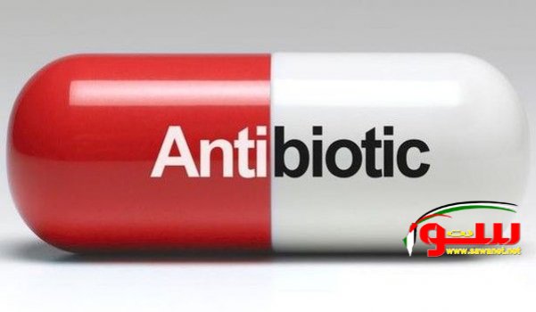 ØªØ­Ø°ÙŠØ±: Ø§Ù„Ø¬Ø±Ø§Ø«ÙŠÙ… Ø³ØªØµØ¨Ø­ Ø£Ø®Ø·Ø± Ù…Ù† Ø§Ù„Ø³Ø±Ø·Ø§Ù† | Ù…ÙˆÙ‚Ø¹ Ø³ÙˆØ§ 