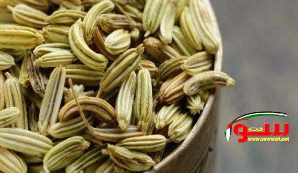 Ø§Ù„Ø´Ù…Ø± Ø¹Ù„Ø§Ø¬ Ø§Ù„Ø¥Ù…Ø³Ø§Ùƒ ÙˆØ¥Ù†ØªÙØ§Ø® Ø§Ù„Ø¨Ø·Ù† | Ù…ÙˆÙ‚Ø¹ Ø³ÙˆØ§ 