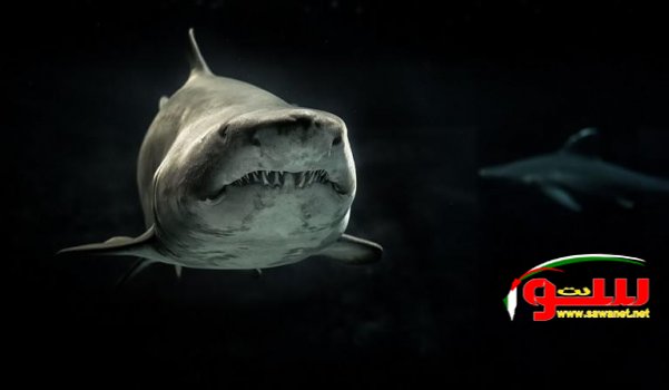  Ø§Ù„Ø¹Ø«ÙˆØ± Ø¹Ù„Ù‰ 