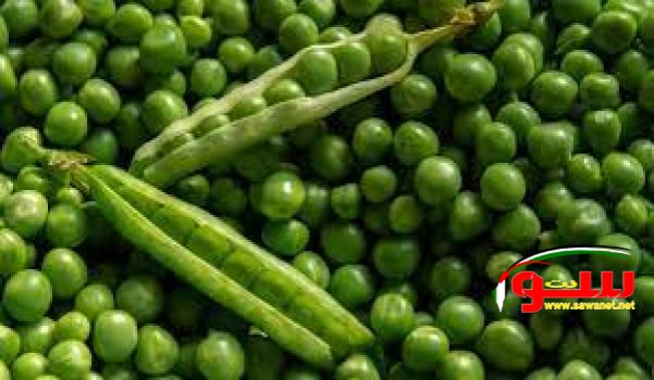 Ù„Ø¹Ø¸Ø§Ù… Ù‚ÙˆÙŠØ©..ØªÙ†Ø§ÙˆÙ„ Ø§Ù„Ø¨Ø§Ø²Ù„Ø§Ø¡ ÙˆØ§Ù„ÙÙˆÙ„ ÙˆÙ‚Ù„Ù„ Ø§Ù„Ù„Ø­ÙˆÙ… Ø§Ù„Ø­Ù…Ø±Ø§Ø¡ | Ù…ÙˆÙ‚Ø¹ Ø³ÙˆØ§ 