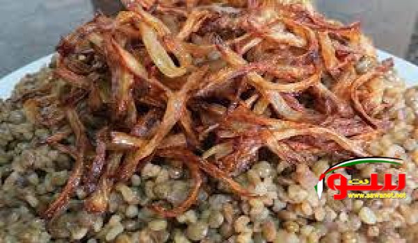 Ø¹Ù…Ù„ Ø§Ù„Ù…Ø¬Ø¯Ø±Ø© Ø§Ù„ÙÙ„Ø³Ø·ÙŠÙ†ÙŠØ© | Ù…ÙˆÙ‚Ø¹ Ø³ÙˆØ§ 