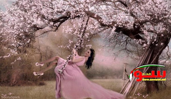 Ø¥Ù„ÙŠØ³Ø§ ØªØµØ¯Ù… Ø¬Ù…Ù‡ÙˆØ±Ù‡Ø§ Ø¨ØªØµØ±ÙŠØ­ Ø¹Ù† Ø­Ù„Ù… Ø§Ù„Ø¥Ù†Ø¬Ø§Ø¨ | Ù…ÙˆÙ‚Ø¹ Ø³ÙˆØ§ 