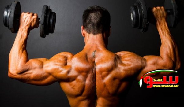 Ù…Ø¬Ù…ÙˆØ¹Ø© ØªÙ…Ø±ÙŠÙ†Ø§Øª Ù„ØªÙ‚ÙˆÙŠØ© Ø¹Ø¶Ù„Ø§Øª Ø§Ù„ÙƒØªÙÙŠÙ† | Ù…ÙˆÙ‚Ø¹ Ø³ÙˆØ§ 