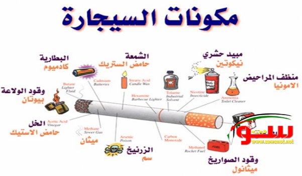 Ù„Ù„Ù…Ø¯Ø®Ù†ÙŠÙ† Ø®Ù„Ø§Ù„ Ø´Ù‡Ø± Ø±Ù…Ø¶Ø§Ù† Ø¨Ø¹Ø¶ Ø§Ù„Ù†ØµØ§Ø¦Ø­ | Ù…ÙˆÙ‚Ø¹ Ø³ÙˆØ§ 