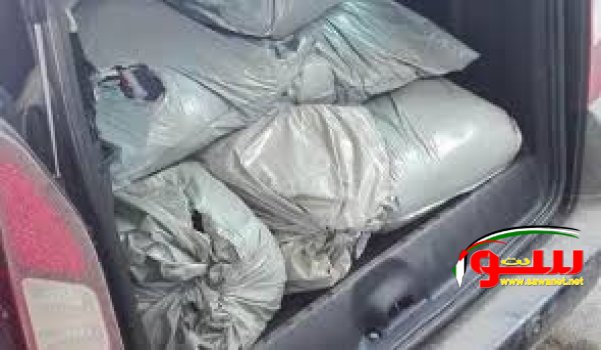 Ø¥Ø­Ø¨Ø§Ø· Ø¹Ù…Ù„ÙŠØ© ØªÙ‡Ø±ÙŠØ¨ Ø£Ù‚Ù…Ø´Ø© Ù…Ù† Ù…Ø³ØªÙˆØ·Ù†Ø© â€œØ¨Ø±ÙƒØ§Ù†â€ | Ù…ÙˆÙ‚Ø¹ Ø³ÙˆØ§ 