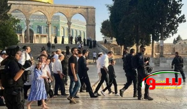 Ù…Ø³ØªÙˆØ·Ù†ÙˆÙ† Ø¥Ø±Ù‡Ø§Ø¨ÙŠÙˆÙ† ÙŠÙ‚ØªØ­Ù…ÙˆÙ† Ø¨Ø§Ø­Ø§Øª Ø§Ù„Ù…Ø³Ø¬Ø¯ Ø§Ù„Ø£Ù‚ØµÙ‰ ØªØ­Øª Ø­Ù…Ø§ÙŠØ© Ø§Ù„Ø¬ÙŠØ´ ÙˆØ§Ù„Ø´Ø±Ø·Ù‡ Ø§Ù„ØµÙ‡ÙŠÙˆÙ†ÙŠØ© | Ù…ÙˆÙ‚Ø¹ Ø³ÙˆØ§ 