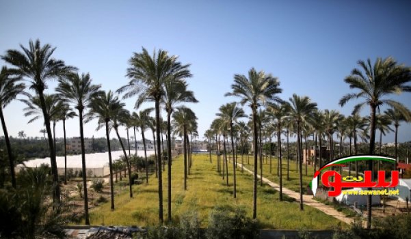 Ù…Ø¯ÙŠÙ†Ù‡ Ø¯ÙŠØ± Ø§Ù„Ø¨Ù„Ø­ | Ù…ÙˆÙ‚Ø¹ Ø³ÙˆØ§ 