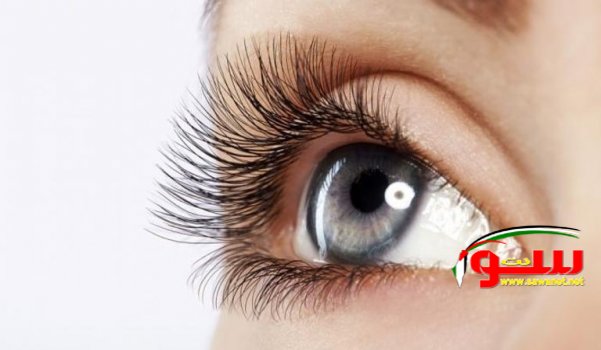 ØµØ­Ù‡ ÙˆØ¬Ù…Ø§Ù„ Ø§Ù„Ù…ÙˆØ´ ÙˆØ§Ù„Ø³Ø± Ø¨Ø§Ù„ÙÙŠØªØ§Ù…ÙŠÙ†Ø§Øª | Ù…ÙˆÙ‚Ø¹ Ø³ÙˆØ§ 