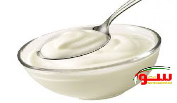 â€œØ¯ÙŠÙ„Ù‰ Ù…ÙŠÙ„â€ Ø§Ù„Ø²Ø¨Ø§Ø¯Ù‰ ÙŠÙˆÙ‚Ù Ø§Ù†ØªØ´Ø§Ø± Ø§Ù„Ø£ÙˆØ±Ø§Ù… Ø§Ù„Ø³Ø±Ø·Ø§Ù†ÙŠØ© Ø¨Ø§Ù„Ø¬Ø³Ù… | Ù…ÙˆÙ‚Ø¹ Ø³ÙˆØ§ 