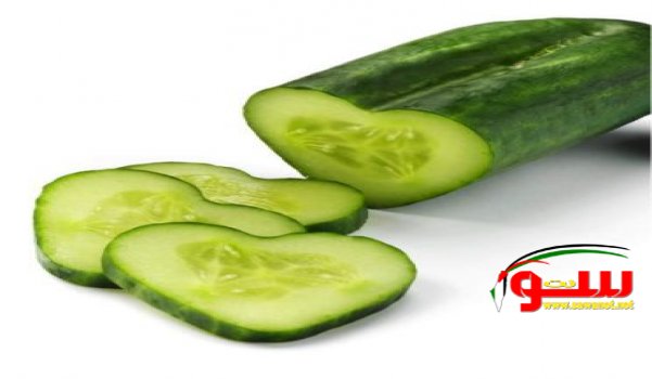 Ø§Ù„Ø®ÙŠØ§Ø± ÙŠÙ†Ù‚ØµÙƒÙ ÙƒÙŠÙ„ÙˆØ¬Ø±Ø§Ù…Ù‹Ø§ ÙŠÙˆÙ…ÙŠÙ‘Ù‹Ø§.. ÙƒÙŠÙØŸ | Ù…ÙˆÙ‚Ø¹ Ø³ÙˆØ§ 