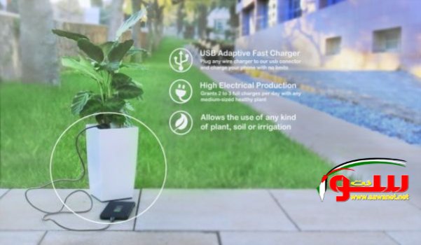 Ø§Ø´Ø­Ù† Ù‡Ø§ØªÙÙƒ Ù…Ù† Ø§Ù„Ù†Ø¨Ø§ØªØ§Øª ! | Ù…ÙˆÙ‚Ø¹ Ø³ÙˆØ§ 