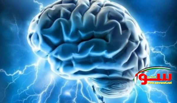 16 Ø·Ø±ÙŠÙ‚Ø© Ù…Ù…ØªØ¹Ø© Ù„ØªØ´ØºÙŠÙ„ Ø§Ù„Ø¹Ù‚Ù„ ÙˆØ²ÙŠØ§Ø¯Ø© ØµØ­Ø© Ø§Ù„Ø¯Ù…Ø§Øº | Ù…ÙˆÙ‚Ø¹ Ø³ÙˆØ§ 