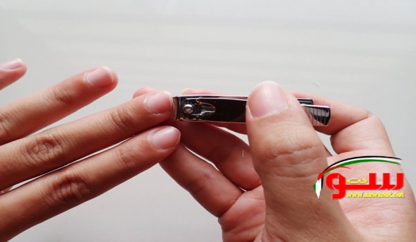 Ø§ÙØ¶Ù„ Ø§ÙŠØ§Ù… Ù‚Øµ Ø§Ù„Ø§Ø¸Ø§ÙØ±  | Ù…ÙˆÙ‚Ø¹ Ø³ÙˆØ§ 