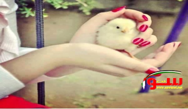 Ø§Ù„Ø¹Ø§Ù„Ù…Ù Ù…Ù„ÙŠÙ‘Ø¡ Ø¨ÙØ§Ù„Ø±Ø§Ø­ÙŽÙ„ÙŠÙŽÙ† ØŒ Ù„ÙƒÙŽÙ†Ù‡Ù Ø£ÙŠØ¶ÙŽØ§Ù‹ Ù…ÙØ²Ø¯Ø­ÙŽÙ…ÙŒ Ø¨Ø§Ù„Ø­ÙŽØ§Ø¶ÙŽØ±ÙŠÙŽÙ† | Ù…ÙˆÙ‚Ø¹ Ø³ÙˆØ§ 