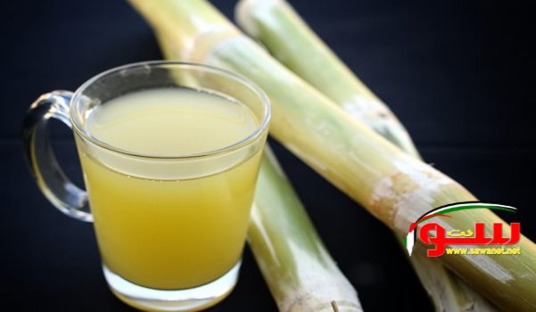 Ø£Ù‡Ù… ÙÙˆØ§Ø¦Ø¯ Ù„Ø¹ØµÙŠØ± Ø§Ù„Ù‚ØµØ¨  | Ù…ÙˆÙ‚Ø¹ Ø³ÙˆØ§ 