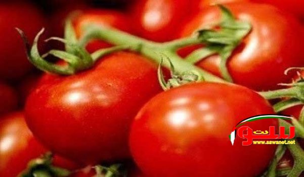 Ø³Ø¨Ø¹Ø© Ø£Ø·Ø¹Ù…Ø© ÙŠØ¬Ø¨ ØªÙ†Ø§ÙˆÙ„Ù‡Ø§ ÙƒÙ„ ÙŠÙˆÙ… | Ù…ÙˆÙ‚Ø¹ Ø³ÙˆØ§ 