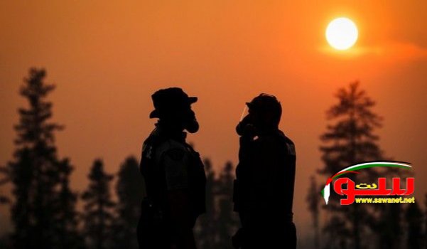 Ø¨Ø±Ù†Øª ÙŠÙ‚ÙØ² Ù…Ø¹ ÙÙ‚Ø¯Ø§Ù† ÙƒÙ†Ø¯Ø§ Ù†ØµÙ Ø§Ù†ØªØ§Ø¬Ù‡Ø§ Ù…Ù† Ø§Ù„Ø±Ù…Ø§Ù„ Ø§Ù„Ù†ÙØ·ÙŠØ© | Ù…ÙˆÙ‚Ø¹ Ø³ÙˆØ§ 