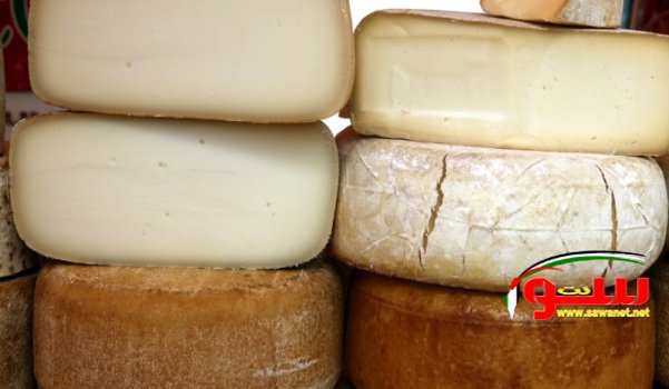 ÙˆØ²Ø§Ø±Ø© Ø§Ù„Ø§Ù‚ØªØµØ§Ø¯ ØªÙ†Ø´Ø± Ø§Ù„Ø§Ø¬Ø±Ø§Ø¡ Ø§Ù„ØªÙ†Ø§ÙØ³ÙŠ Ù„Ø§Ø³ØªÙŠØ±Ø§Ø¯ Ø§Ù„Ø£Ø¬Ø¨Ø§Ù† Ø§Ù„ØµÙ„Ø¨Ø© Ù„Ù„Ø¹Ø§Ù… 2017 | Ù…ÙˆÙ‚Ø¹ Ø³ÙˆØ§ 