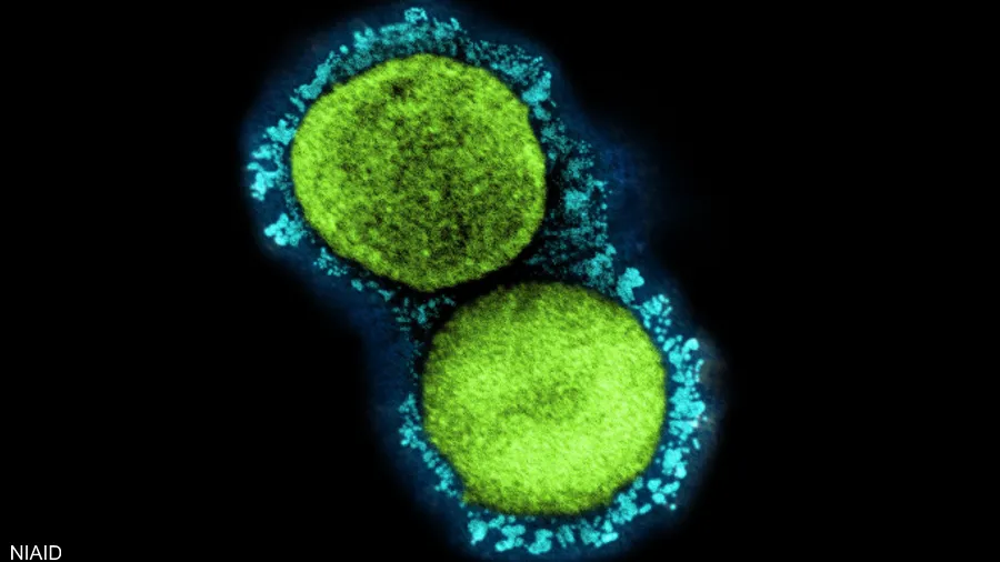 **Ø³Ù„Ø§Ù„Ø© ÙØ±Ø¹ÙŠØ© Ù…Ù† 