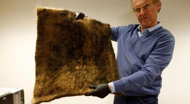 Ù…Ù†Ø¸Ù…Ø© Ø¨Ù„Ø¬ÙŠÙƒÙŠØ© ØªØ³ØªØ®Ø¯Ù… Ø§Ù„Ø´Ø¹Ø± Ø§Ù„Ø¨Ø´Ø±Ù‰ Ù„Ø§Ù…ØªØµØ§Øµ Ø§Ù„Ù…Ù„ÙˆØ«Ø§Øª Ø§Ù„Ø¨ÙŠØ¦ÙŠØ© Ù…Ù† Ø§Ù„Ù…ÙŠØ§Ù‡ | Ù…ÙˆÙ‚Ø¹ Ø³ÙˆØ§ 